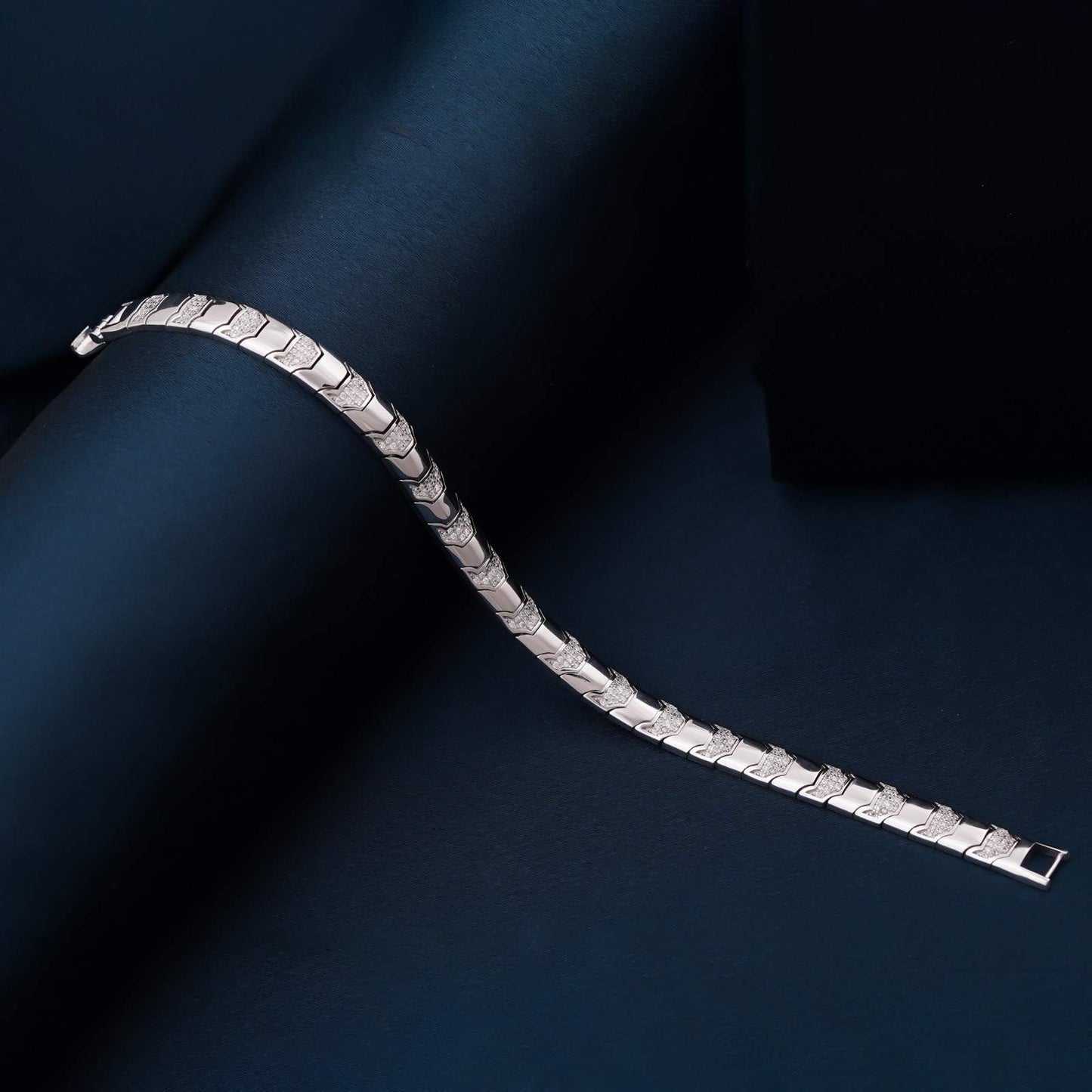 Silver Snake Bone Bracelet For Him